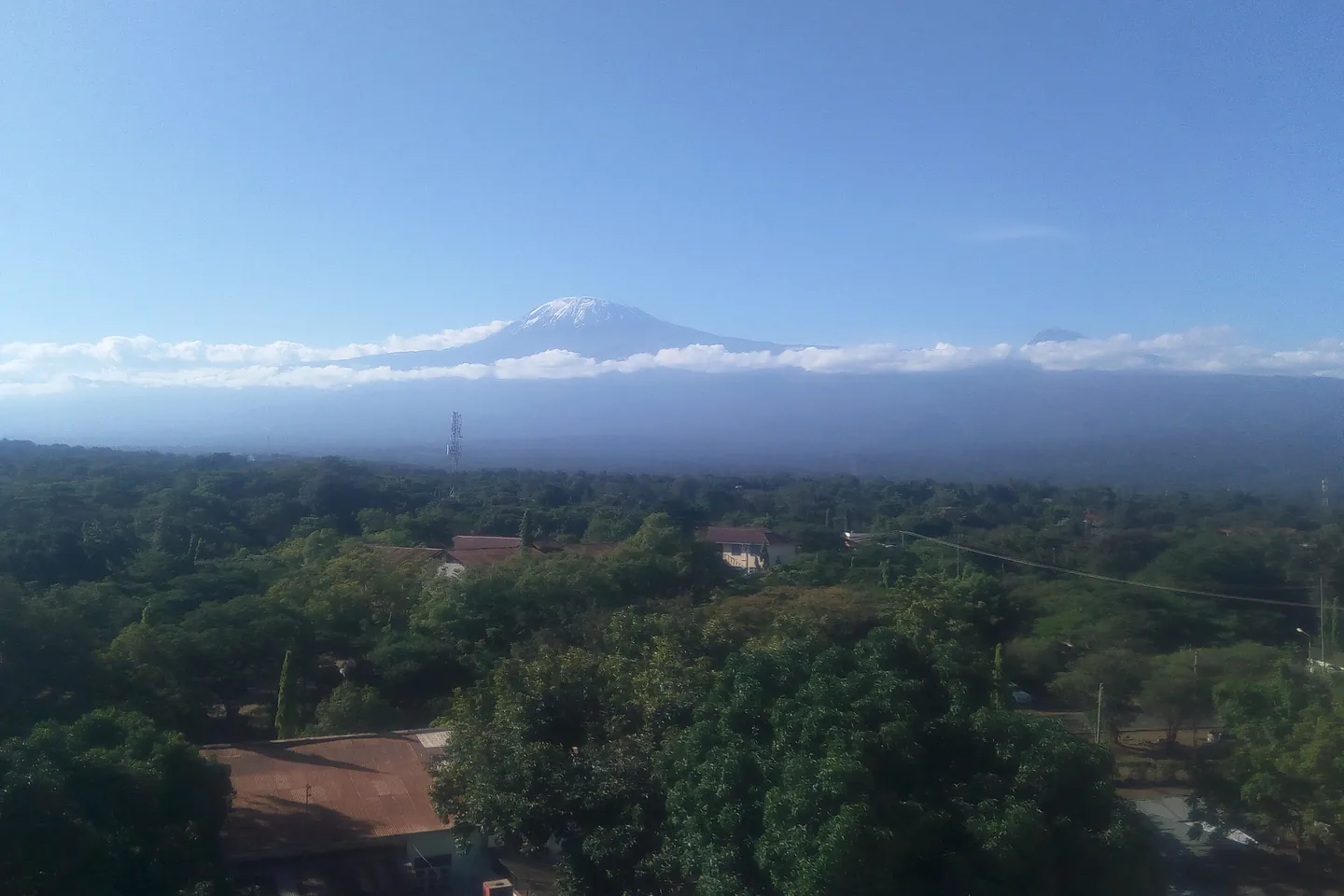 Mount Kilimanjaro seen above the trees of Moshi town.